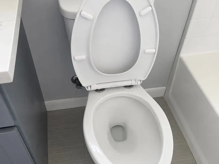 Toilet cleaned and sanitised