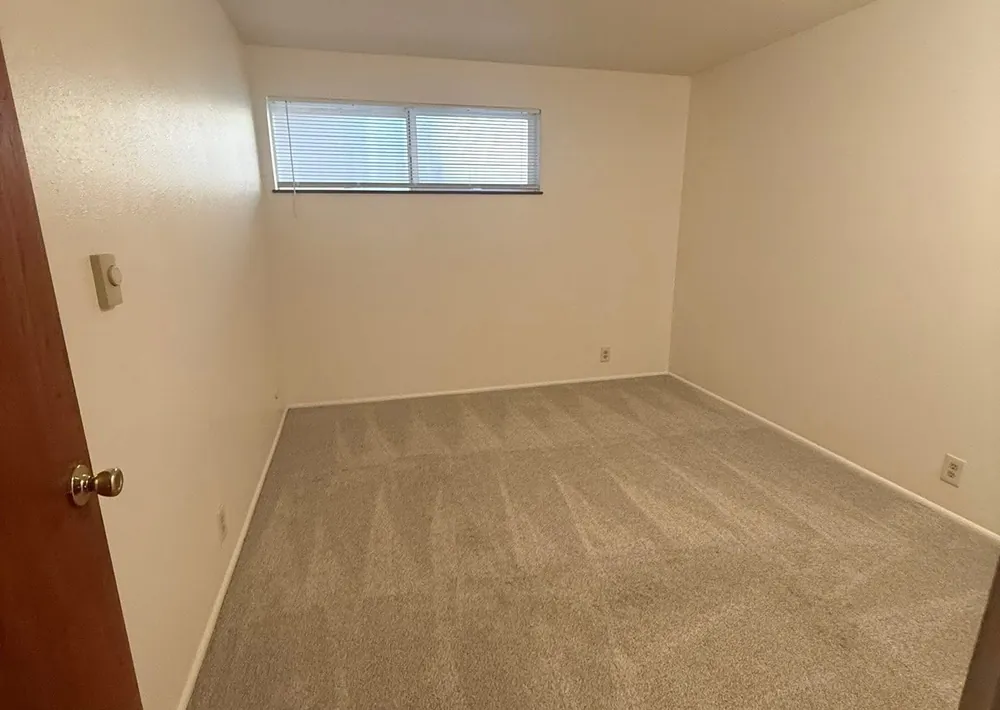 Move In & Move Out Cleaning